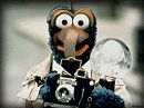 Gonzo the Great